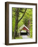 The Flume Covered Bridge, Pemigewasset River, Franconia Notch State Park, New Hampshire, USA-Jerry & Marcy Monkman-Framed Photographic Print