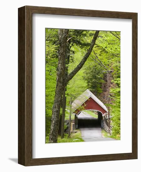 The Flume Covered Bridge, Pemigewasset River, Franconia Notch State Park, New Hampshire, USA-Jerry & Marcy Monkman-Framed Photographic Print