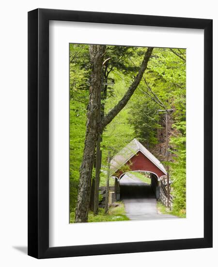 The Flume Covered Bridge, Pemigewasset River, Franconia Notch State Park, New Hampshire, USA-Jerry & Marcy Monkman-Framed Photographic Print