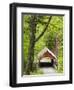 The Flume Covered Bridge, Pemigewasset River, Franconia Notch State Park, New Hampshire, USA-Jerry & Marcy Monkman-Framed Photographic Print