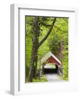The Flume Covered Bridge, Pemigewasset River, Franconia Notch State Park, New Hampshire, USA-Jerry & Marcy Monkman-Framed Photographic Print