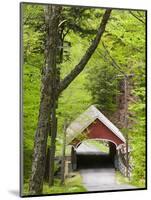 The Flume Covered Bridge, Pemigewasset River, Franconia Notch State Park, New Hampshire, USA-Jerry & Marcy Monkman-Mounted Photographic Print
