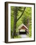 The Flume Covered Bridge, Pemigewasset River, Franconia Notch State Park, New Hampshire, USA-Jerry & Marcy Monkman-Framed Photographic Print