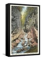 The Flume, Franconia Notch, New Hampshire-null-Framed Stretched Canvas