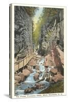 The Flume, Franconia Notch, New Hampshire-null-Stretched Canvas