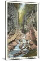 The Flume, Franconia Notch, New Hampshire-null-Mounted Art Print