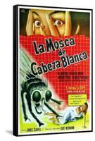 The Fly, Argentine Movie Poster, 1958-null-Framed Stretched Canvas