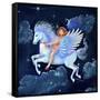 The Fly-Away-Horse-Judy Mastrangelo-Framed Stretched Canvas