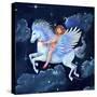 The Fly-Away-Horse-Judy Mastrangelo-Stretched Canvas