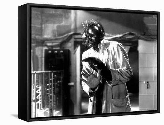 The Fly, David Hedison, 1958-null-Framed Stretched Canvas