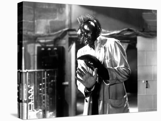 The Fly, David Hedison, 1958-null-Stretched Canvas