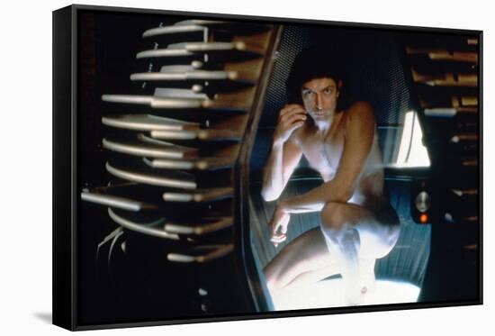 The Fly (photo)-null-Framed Stretched Canvas