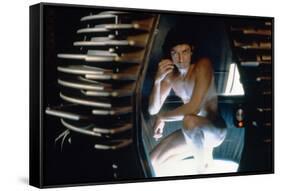 The Fly (photo)-null-Framed Stretched Canvas