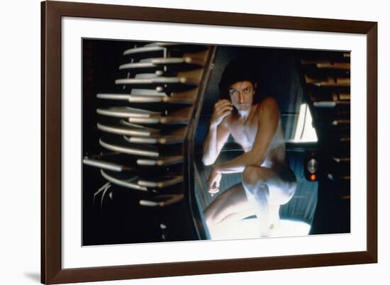 The Fly (photo)-null-Framed Photo