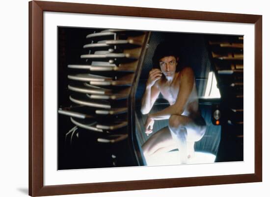 The Fly (photo)-null-Framed Photo