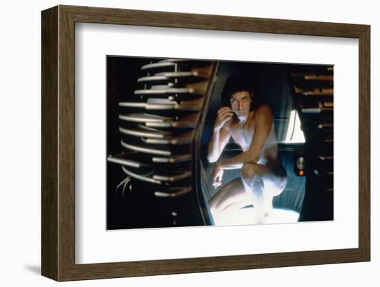 The Fly (photo)-null-Framed Photo