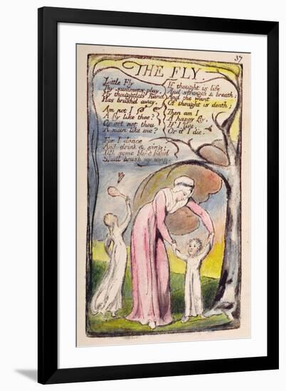 The Fly', Plate 37 from 'Songs of Innocence and of Experience' [Bentley 40] C.1789-94-William Blake-Framed Giclee Print