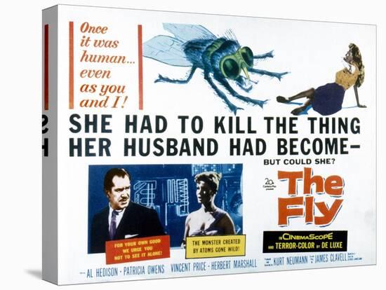 The Fly, Vincent Price, Patricia Owens, 1958-null-Stretched Canvas