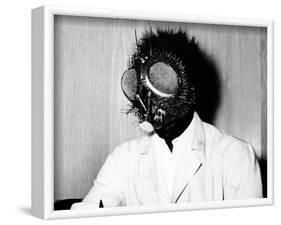 The Fly-null-Framed Photo