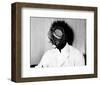 The Fly-null-Framed Photo