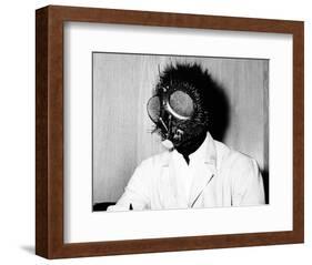 The Fly-null-Framed Photo