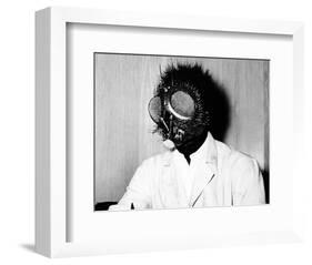 The Fly-null-Framed Photo