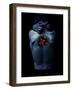 The fly-Johan Lilja-Framed Giclee Print