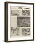 The Flying-Fish Industry of Barbadoes-null-Framed Giclee Print