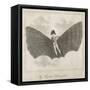 The Flying Man, a Proposal from the Napoleonic Era-null-Framed Stretched Canvas