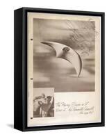 The Flying Saucer as I Saw It-null-Framed Stretched Canvas