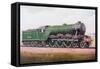 The 'Flying Scotsman' of the London and North Eastern Railway, Illustration from 'The Book of the…-English School-Framed Stretched Canvas