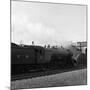 The Flying Scotsman Passing under a Bridge at Speed, Near Selby, North Yorkshire, 1968-Michael Walters-Mounted Photographic Print