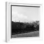 The Flying Scotsman Passing under a Bridge at Speed, Near Selby, North Yorkshire, 1968-Michael Walters-Framed Photographic Print