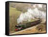 The Flying Scotsman steam locomotive arriving at Goathland station on the North Yorkshire Moors Rai-John Potter-Framed Stretched Canvas