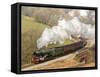 The Flying Scotsman steam locomotive arriving at Goathland station on the North Yorkshire Moors Rai-John Potter-Framed Stretched Canvas