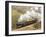 The Flying Scotsman steam locomotive arriving at Goathland station on the North Yorkshire Moors Rai-John Potter-Framed Photographic Print