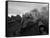 The Flying Scotsman Steam Train Locomotive, 1969-null-Framed Stretched Canvas