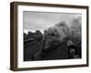 The Flying Scotsman Steam Train Locomotive, 1969-null-Framed Photographic Print