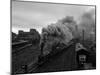 The Flying Scotsman Steam Train Locomotive, 1969-null-Mounted Photographic Print