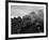 The Flying Scotsman Steam Train Locomotive, 1969-null-Framed Photographic Print