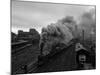 The Flying Scotsman Steam Train Locomotive, 1969-null-Mounted Photographic Print