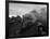 The Flying Scotsman Steam Train Locomotive, 1969-null-Framed Photographic Print