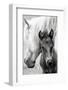 The Foal-Jacky Parker-Framed Photographic Print