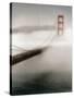 The Fog Comes In-Laura Culver-Stretched Canvas