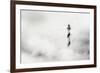 The Fog-Piet Flour-Framed Photographic Print