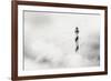 The Fog-Piet Flour-Framed Photographic Print