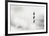 The Fog-Piet Flour-Framed Photographic Print