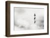 The Fog-Piet Flour-Framed Premium Photographic Print