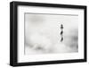 The Fog-Piet Flour-Framed Premium Photographic Print