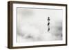 The Fog-Piet Flour-Framed Photographic Print